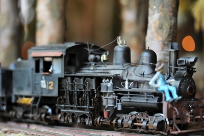 Wald- und Loggingbahn